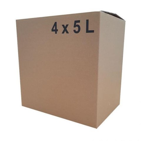 Karton klapowy tekt 3 - 385 x 260 x 385 nadruk 4 x 5