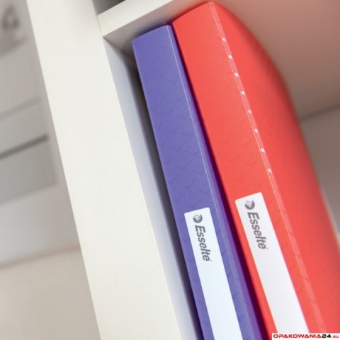 Album ofertowy Esselte ColourBreeze, z 40 koszulkami, lawendowy 628442 Esselte Album ofertowy Esselte ColourBreeze, z 40 koszulkami, lawendowy 628442 Esselte