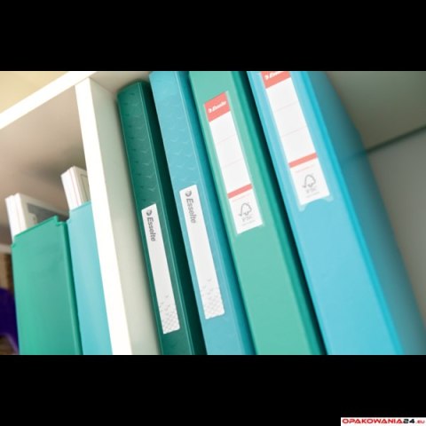 Album ofertowy Esselte ColourBreeze, z 40 koszulkami, zielony 626228 Esselte Album ofertowy Esselte ColourBreeze, z 40 koszulkami, zielony 626228 Esselte