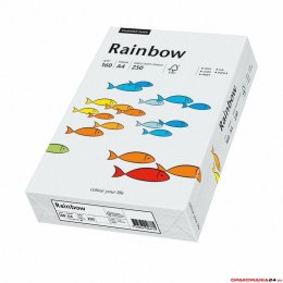 Papier xero A4 160 j.szary 250aR93 RAINBOW 88042791/84 (X)