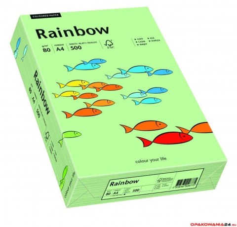 Papier xero kolorowy RAINBOW przygaszona